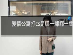 爱情公寓打cs是哪一部哪一集