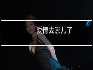 爱情去哪儿了