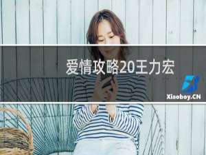 爱情攻略 王力宏