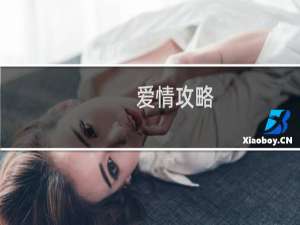 爱情攻略.2015