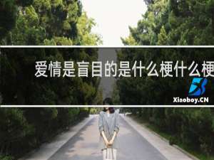 爱情是盲目的是什么梗什么梗