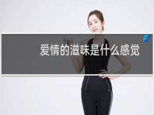 爱情的滋味是什么感觉（爱情的滋味）