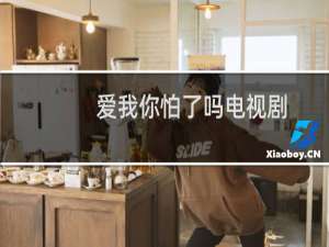 爱我你怕了吗电视剧