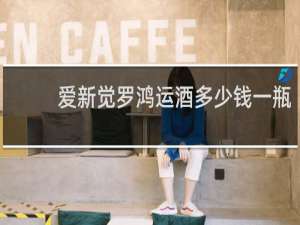 爱新觉罗鸿运酒多少钱一瓶