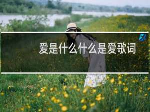 爱是什么什么是爱歌词
