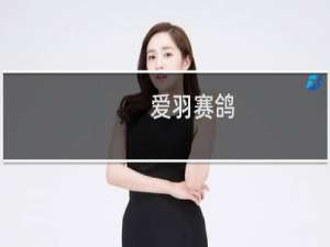 爱羽赛鸽