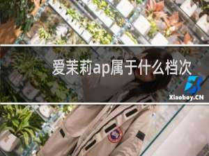 爱茉莉ap属于什么档次