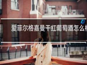 爱菲尔格嘉曼干红葡萄酒怎么样