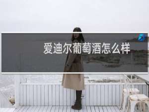 爱迪尔葡萄酒怎么样