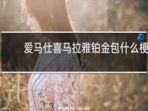 爱马仕喜马拉雅铂金包什么梗