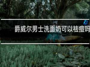 爵威尔男士洗面奶可以祛痘吗