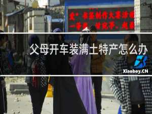 父母开车装满土特产怎么办
