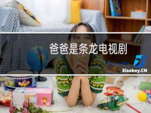 爸爸是条龙电视剧