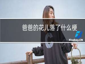 爸爸的花儿落了什么梗