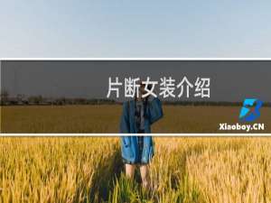 片断女装介绍