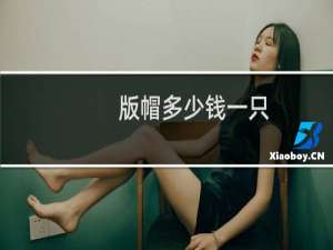 版帽多少钱一只