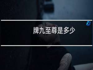 牌九至尊是多少