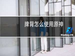 牌背怎么使用原神