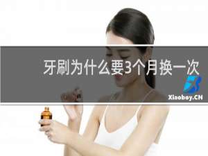 牙刷为什么要3个月换一次