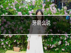 牙刷么说