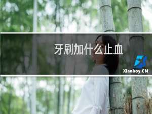 牙刷加什么止血