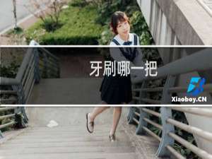 牙刷哪一把