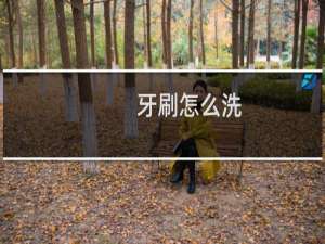 牙刷怎么洗
