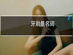 牙刷是名词