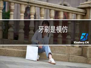 牙刷是模仿