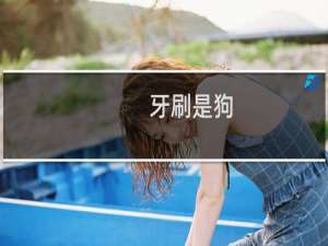 牙刷是狗