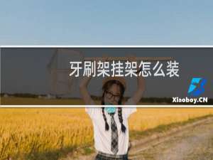 牙刷架挂架怎么装