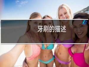 牙刷的描述
