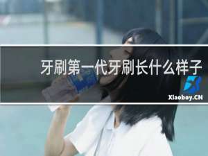 牙刷第一代牙刷长什么样子