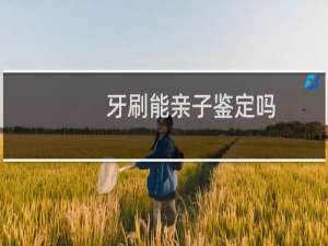 牙刷能亲子鉴定吗