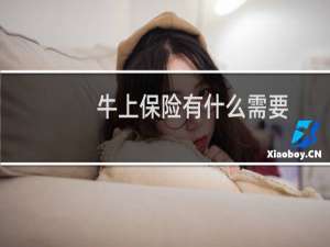 牛上保险有什么需要