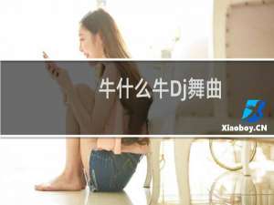 牛什么牛Dj舞曲