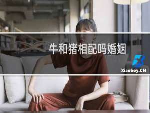 牛和猪相配吗婚姻