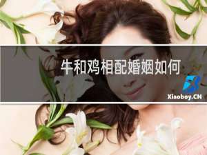 牛和鸡相配婚姻如何