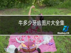 牛多少牙齿图片大全集