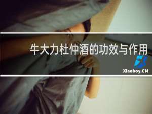 牛大力杜仲酒的功效与作用