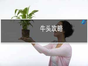 牛头攻略