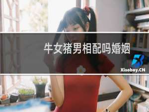 牛女猪男相配吗婚姻