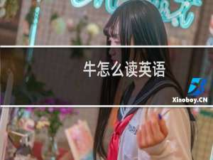 牛怎么读英语
