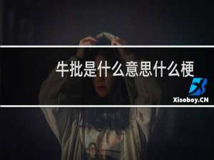 牛批是什么意思什么梗