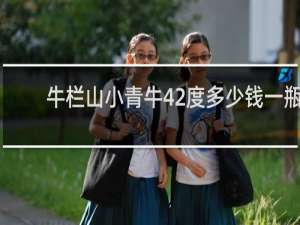 牛栏山小青牛42度多少钱一瓶