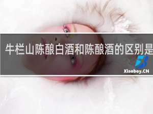 牛栏山陈酿白酒和陈酿酒的区别是什么