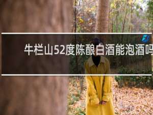 牛栏山52度陈酿白酒能泡酒吗