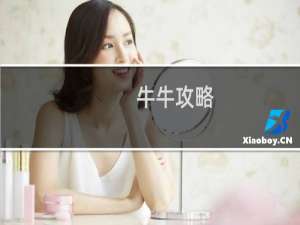 牛牛攻略