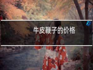 牛皮鞭子的价格