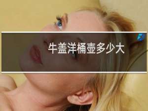 牛盖洋桶壶多少大